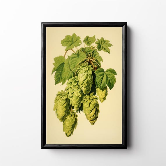 Vintage Hops Print Hops Poster Brewery Artwork Homebrew Wall Art Brewer Gift Beer Lover Retro Craft Beer Lithograph Bar Decor