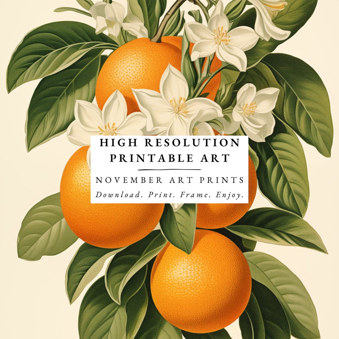 Vintage Floral Oranges Art Print, Retro Botanical - Image 6
