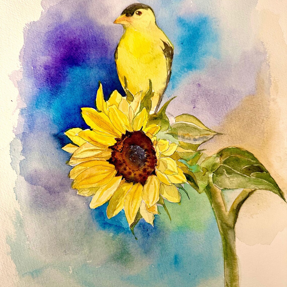 American Goldfinch on Sunflower Watercolor Summer Bird Poster - Image 6