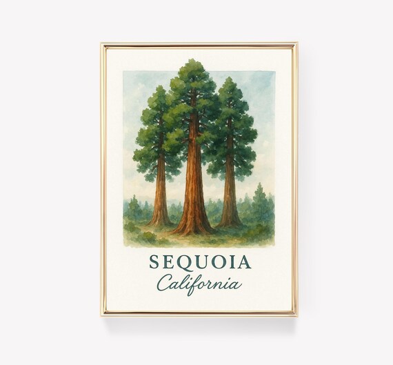 Sequoia California Giant Redwood Trees Vintage Travel Poster