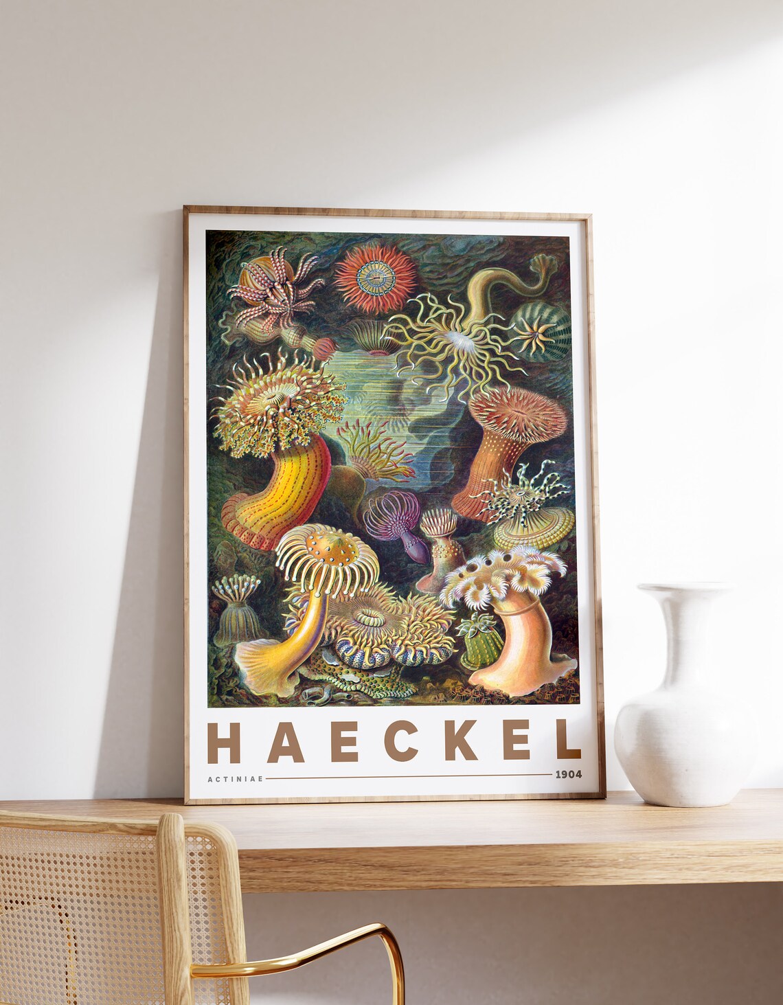 Ernst Haeckel Actiniae Botanical Vintage Poster
