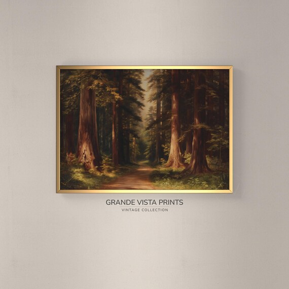 Redwood Forest Path Landscape Painting Redwood Forest Path Wall Art Redwood Trees Artwork Gv4372