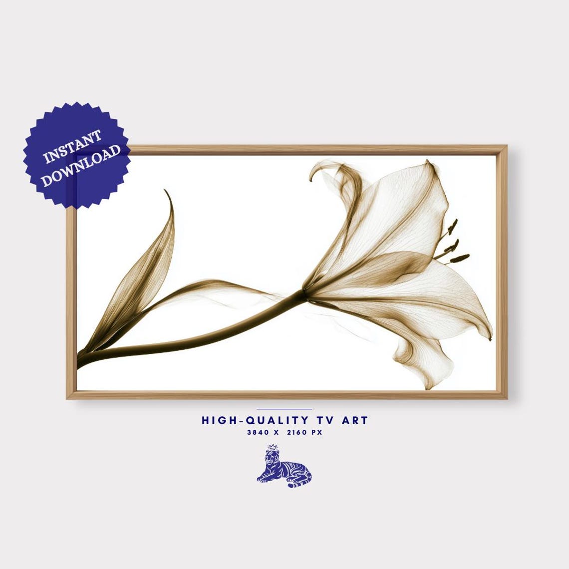 Translucent Lily Xray Botanical Art Minimalist Sepia Flower Wall Print - Image 3