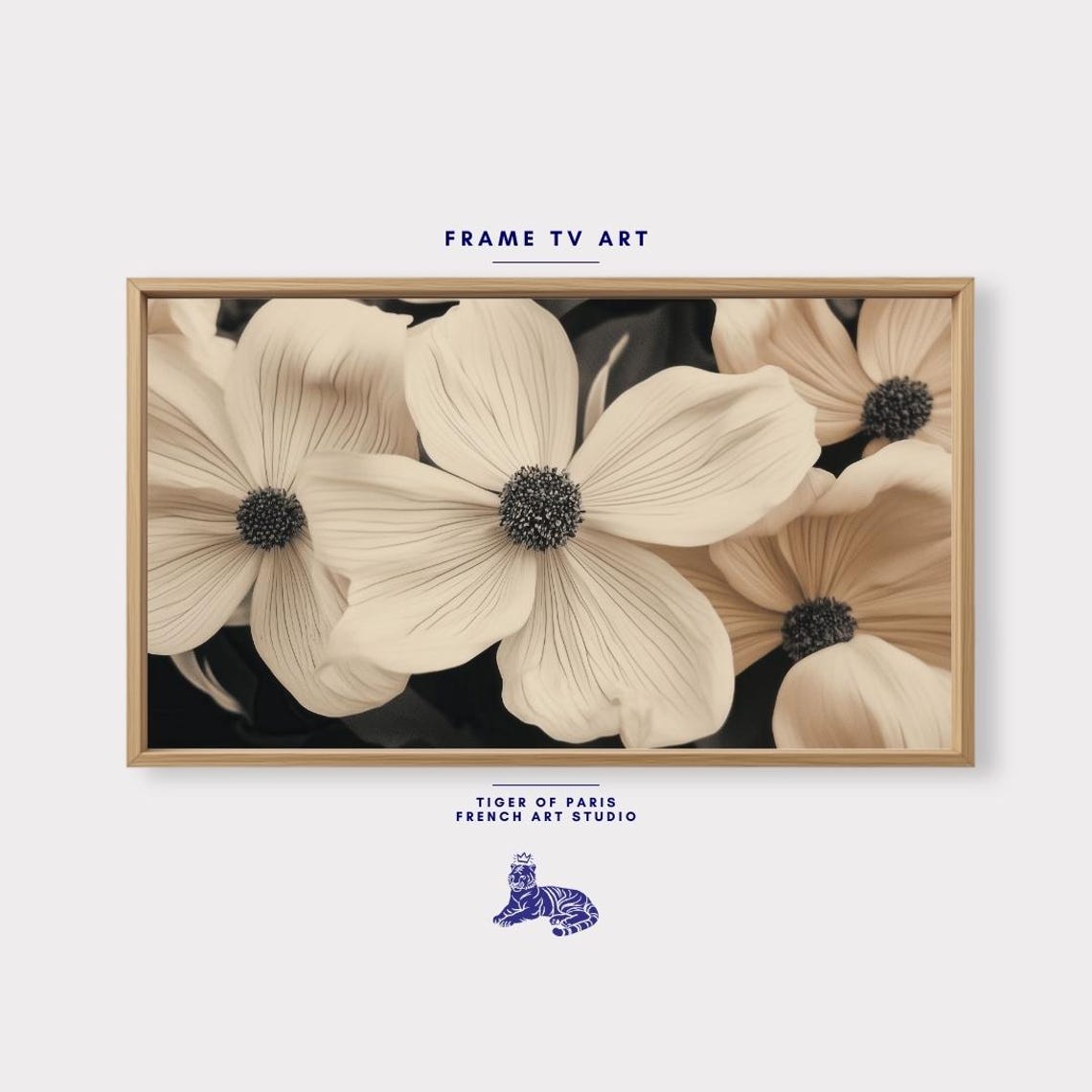 Cream Daisy Macro Floral Photography Beige Neutral Botanical Wall Art