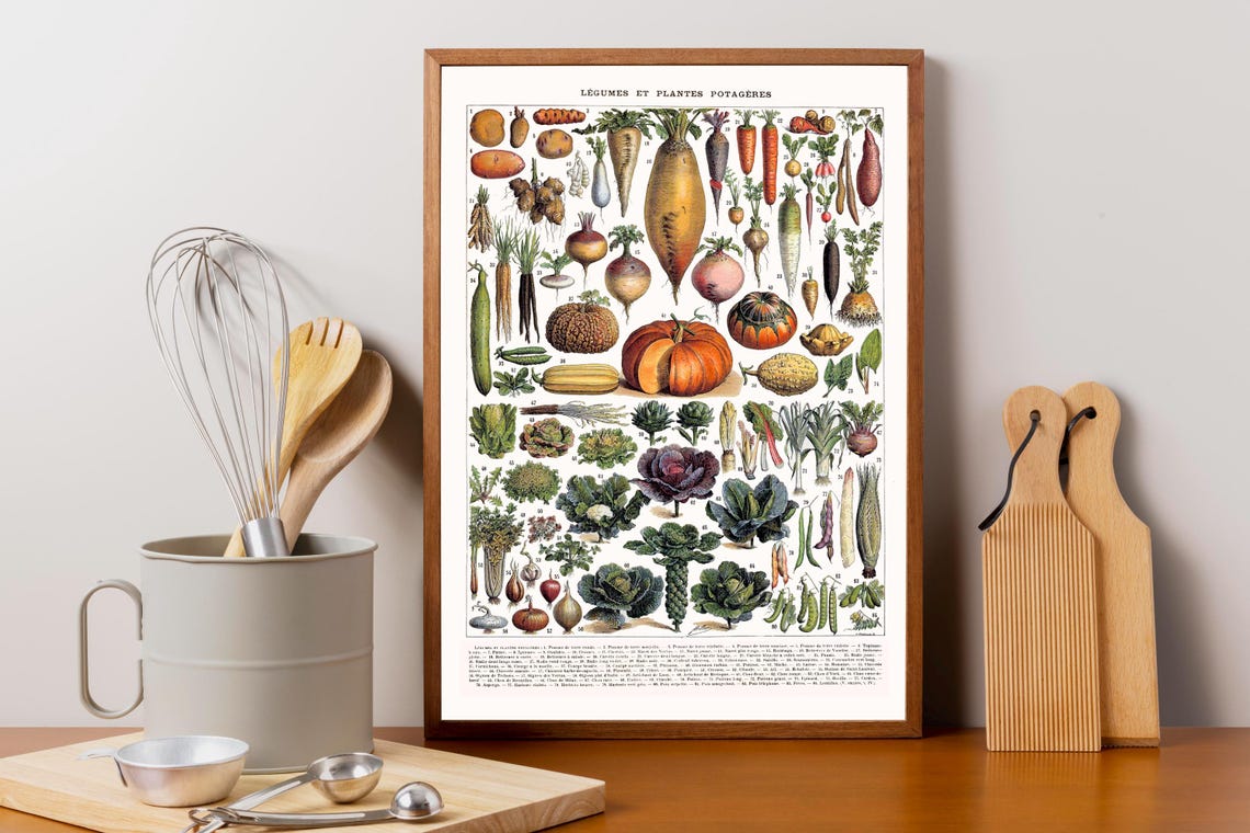 Adolphe Millot French Vegetables Vintage Botanical Chart Art Print - Image 3