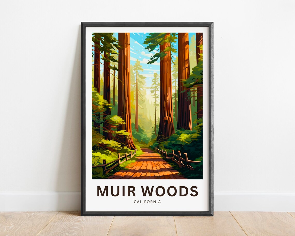 Muir Woods California Travel Poster, Redwood Park