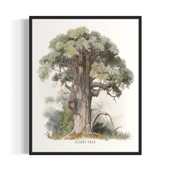 Kauri Tree Art Print Kauri Tree Wall Art Poster