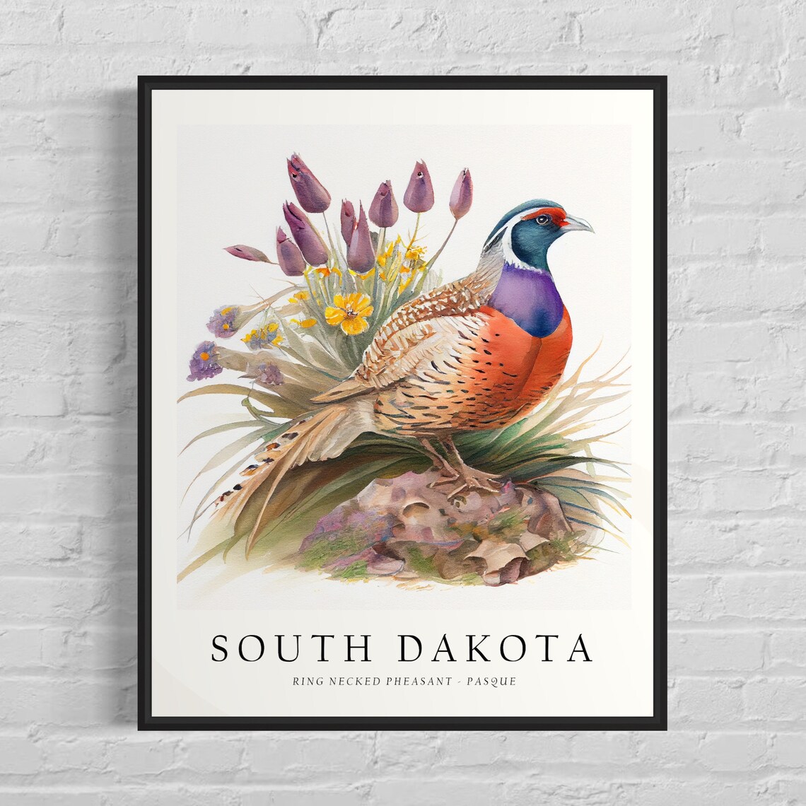 South Dakota Ring Necked Pheasant Pasque Bird Watercolor Print