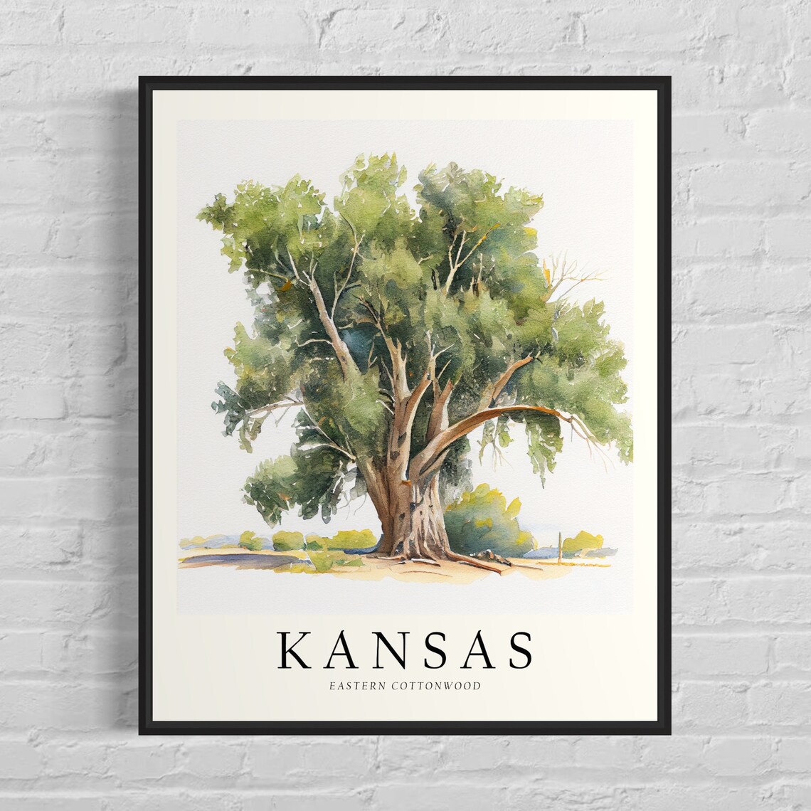 Kansas Eastern Cottonwood Watercolor State Tree Botanical Art Print