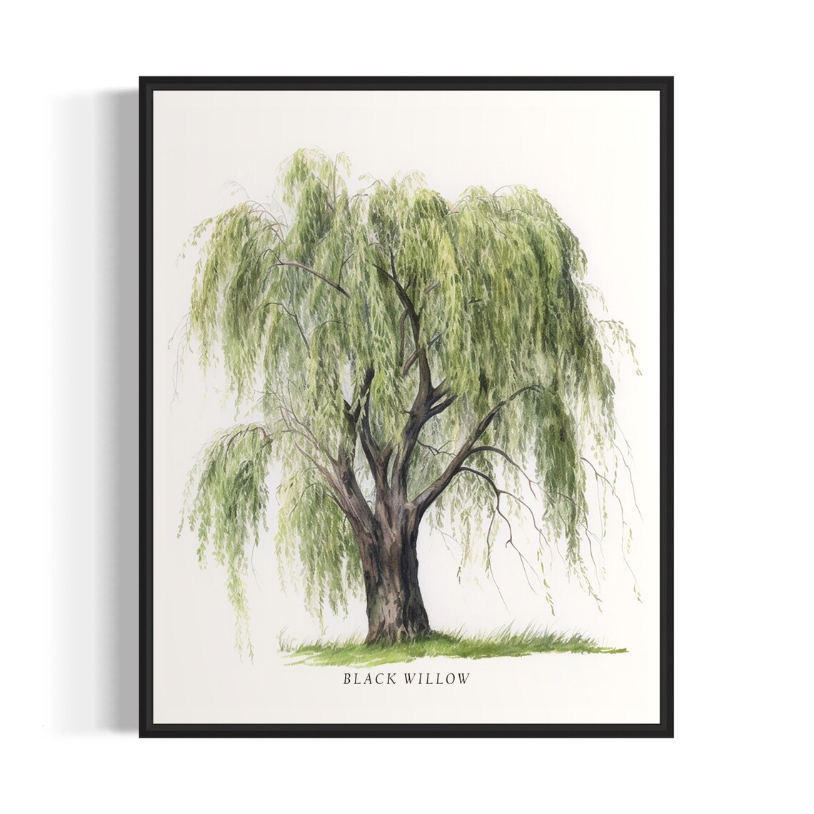 Black Willow Tree Art Print, Tree Wall Decor