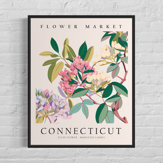 Connecticut Mountain Laurel Botanical Art Print, 1960s