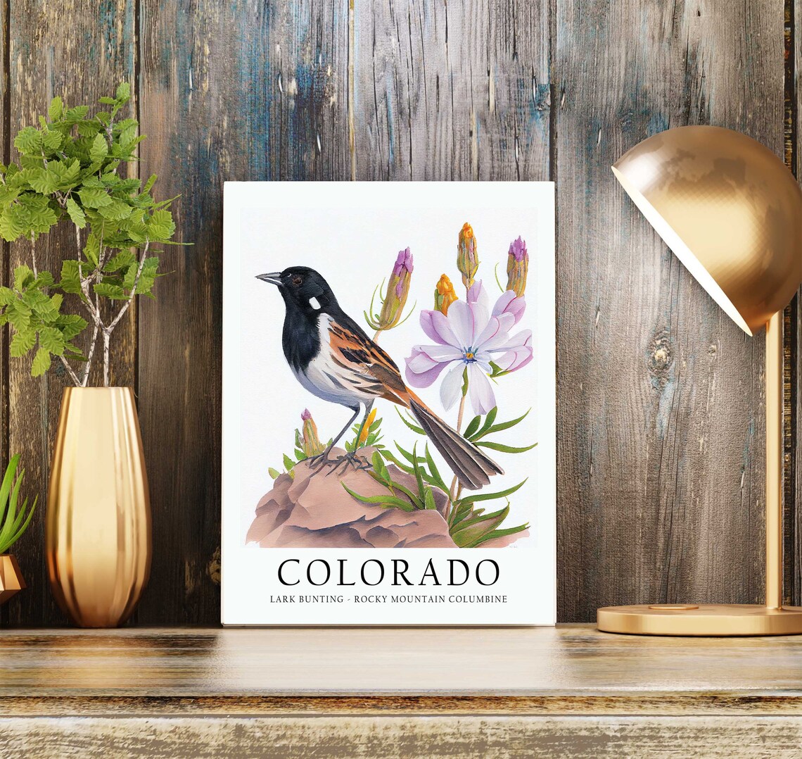 Colorado State Bird Art Print, State Flower - Image 3