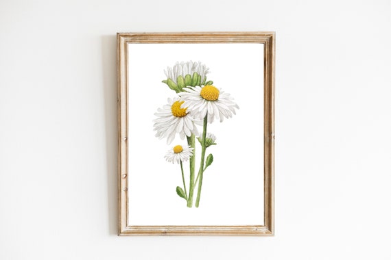 Daisy Print Daisy Wall Art Watercolor Daisy Wall Art Boho Girls Room Print Daisy Nursery Wall Decor Wildflower Botanical