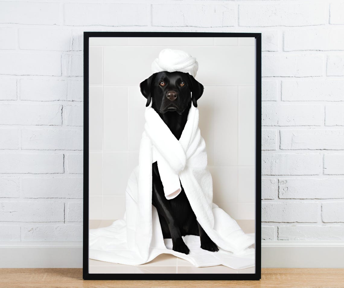 Funny Black Labrador Bathrobe Towel Bathroom Pet Photography Poster