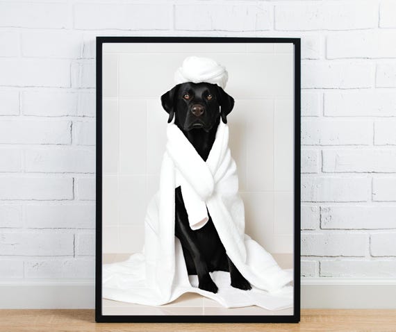 Funny Dog Bathroom Wall Art Black Lab In Bathrobe Humorous Pet Portrait Poster For Spa Or Washroom