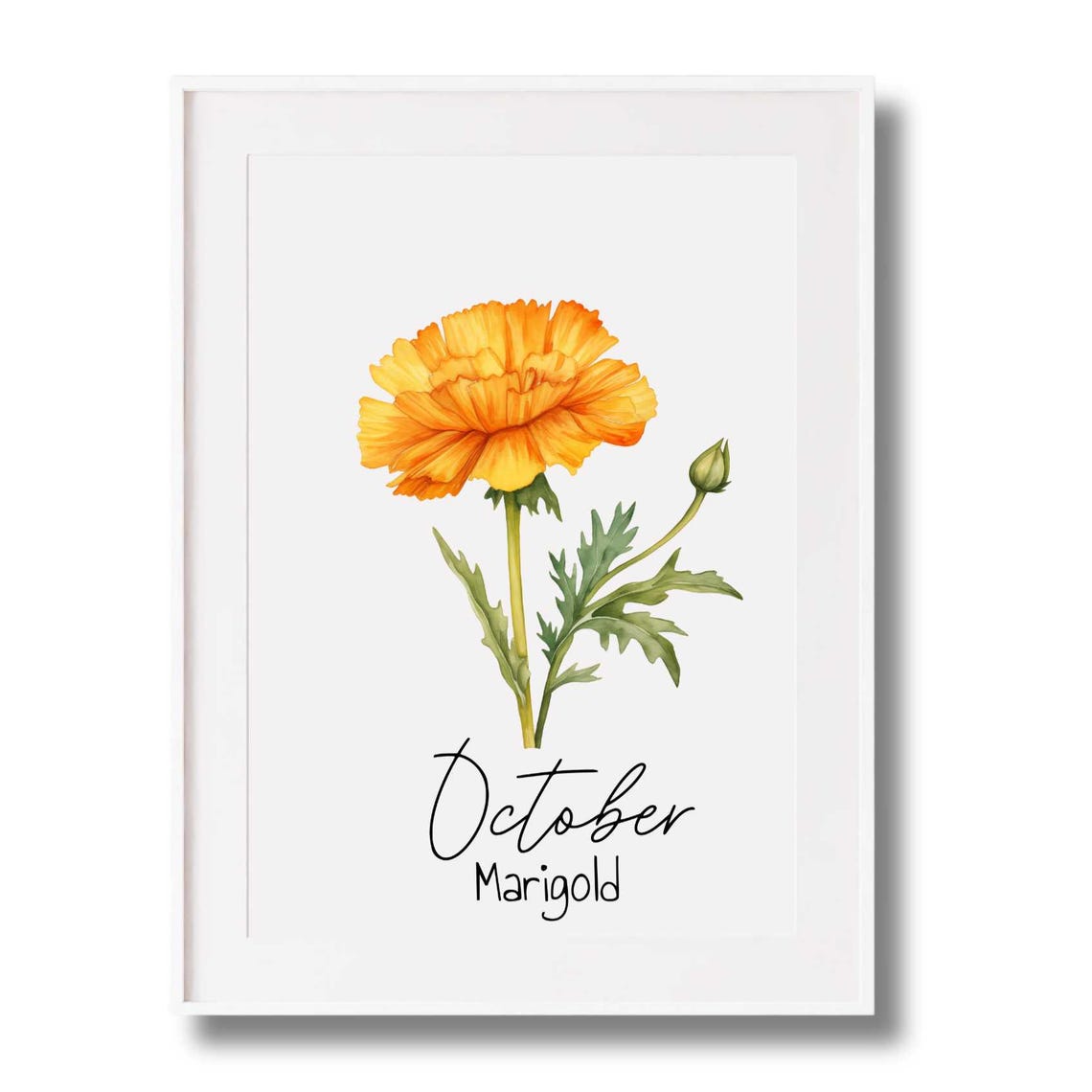 October Birth Month Orange Marigold Watercolor Botanical Poster