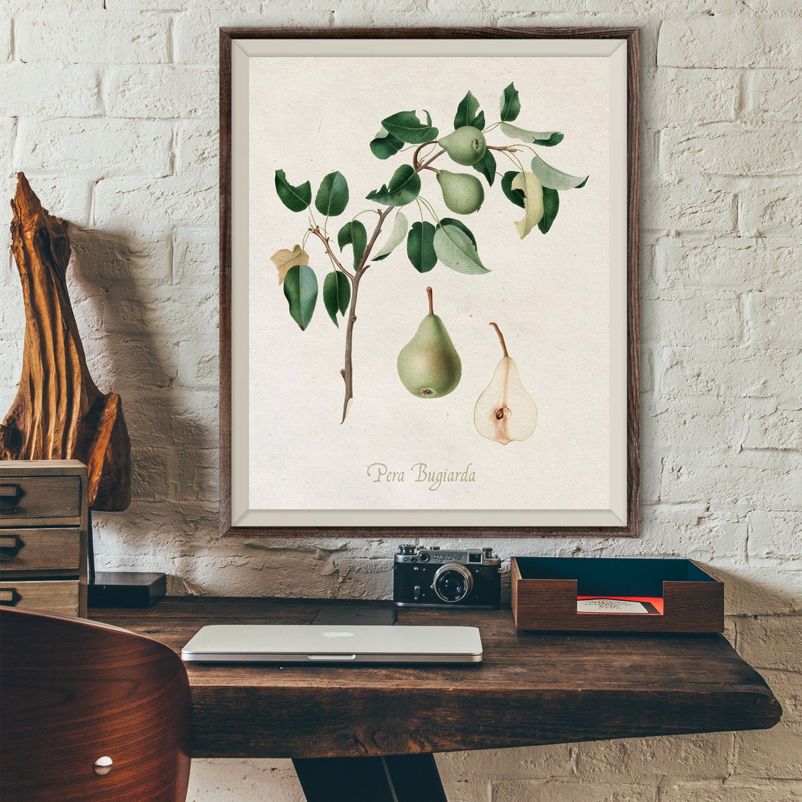 Pera Bugiarda Vintage Pear Botanical Fruit Illustration Art Poster