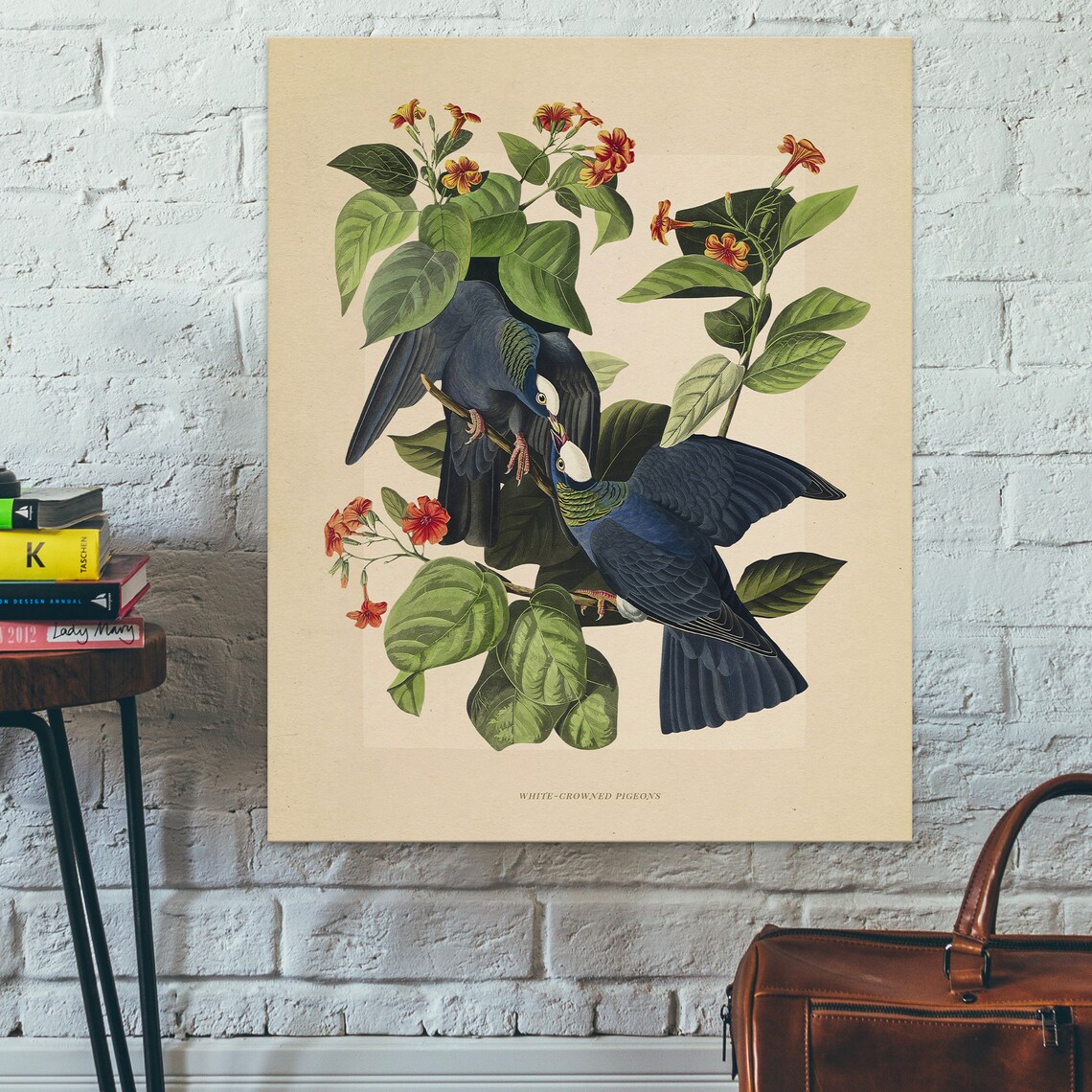 White Crowned Pigeons Vintage Bird Illustration Audubon Style Poster - Image 2