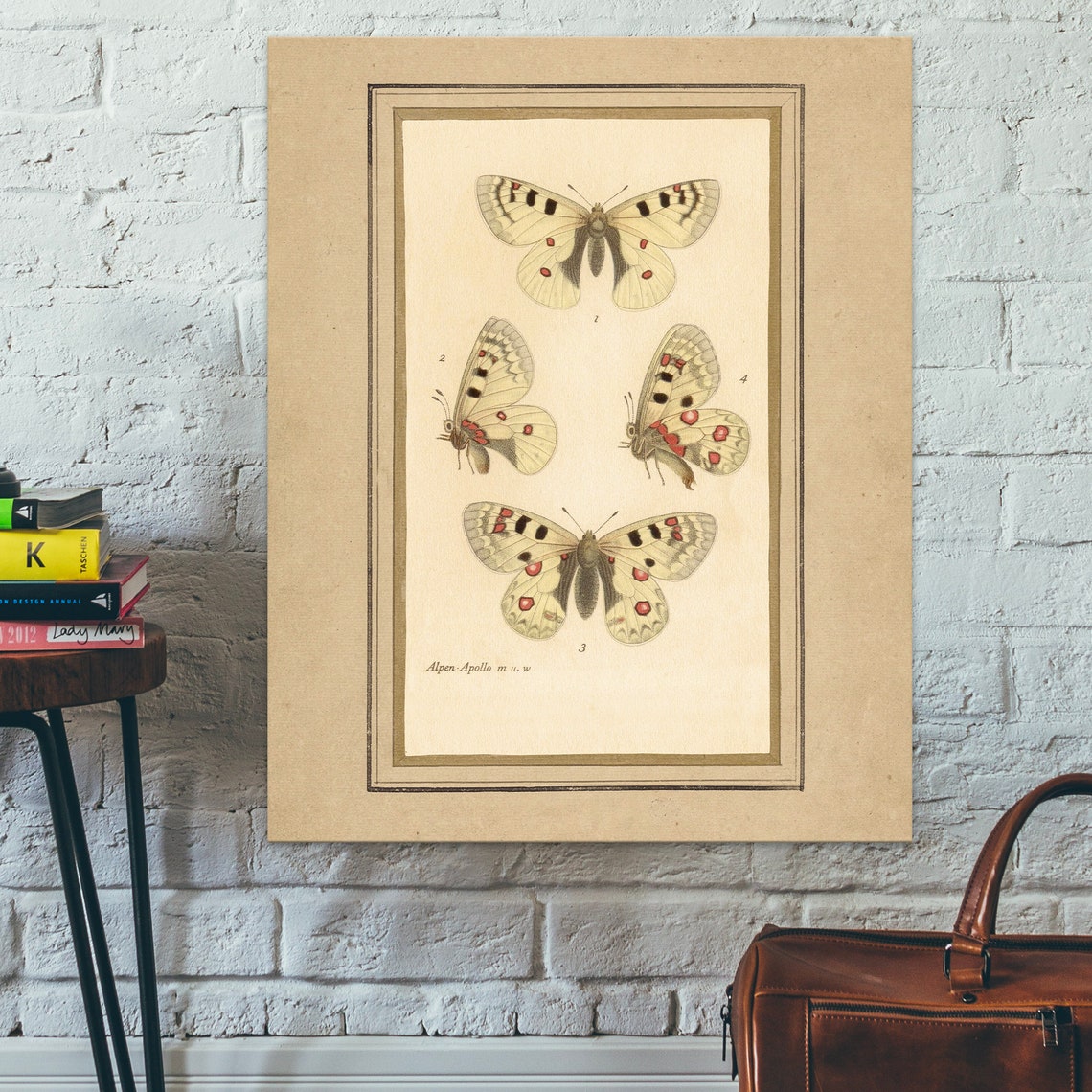 Vintage Apollo Butterfly Plate Antique Alpine Species Poster - Image 2
