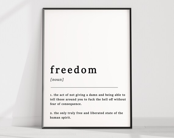 Freedom Noun Funny Dictionary Definition Humor Quote Wall Poster