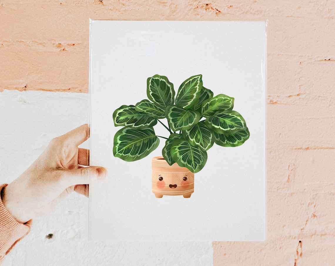 Striped Calathea in a Ribbed Peach Pot Cute Botanical Poster