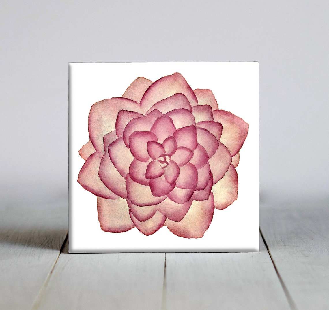 Blush Pink Succulent Rosette Layered Watercolor Botanical Tile Poster