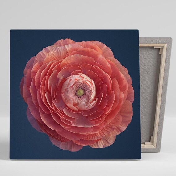 Ranunculus Wall Art Or Poster Floral Contemporary Decor Bedroom Living Room Office Dining Room Wall Art Pink Coral Navy White