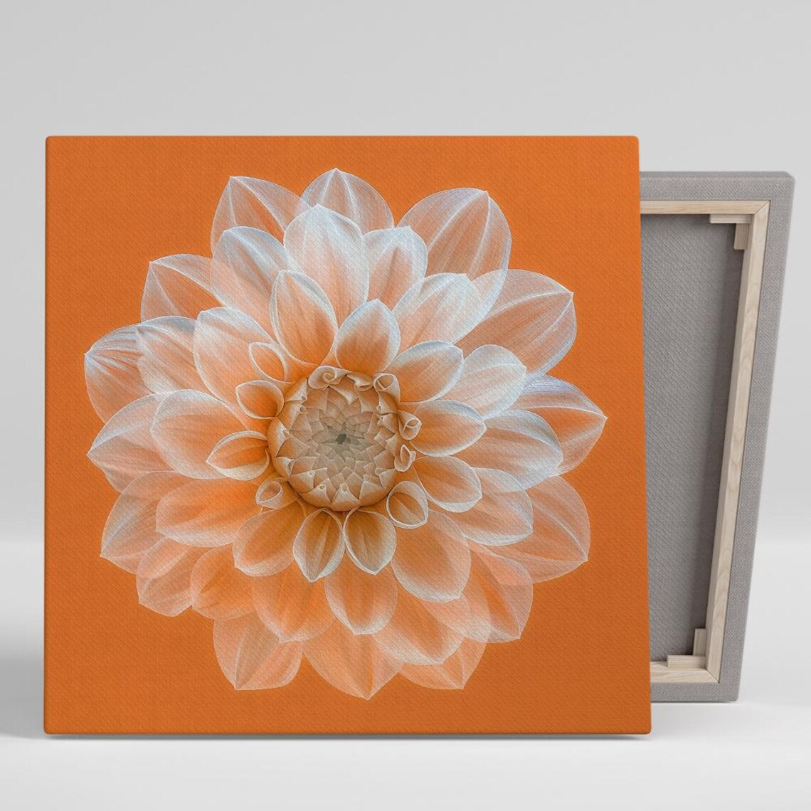 Dahlia Minimalist Floral Art Print for Living Room