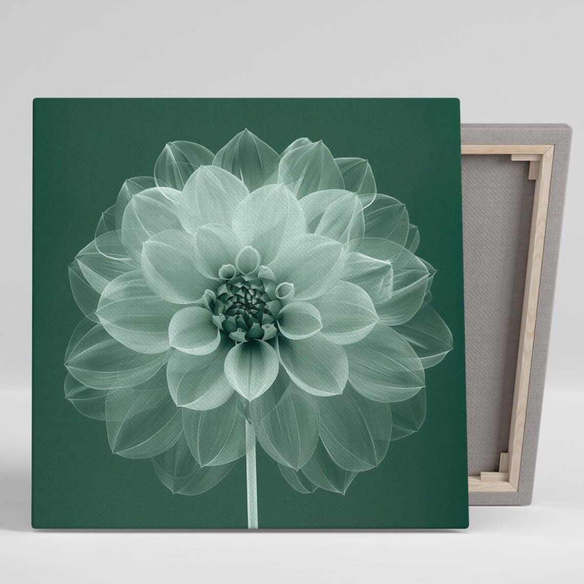 Dahlia Contemporary Minimalist Art Print, Living Room
