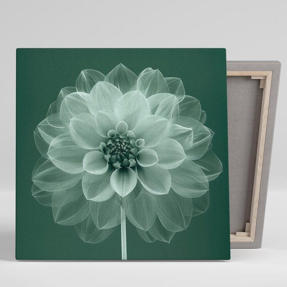 Dahlia Contemporary Minimalist Art Print, Living Room