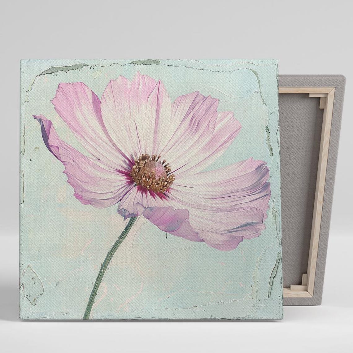 Pink Cosmos Bloom Close Up On Soft Mint Shabby Chic Floral Art Print