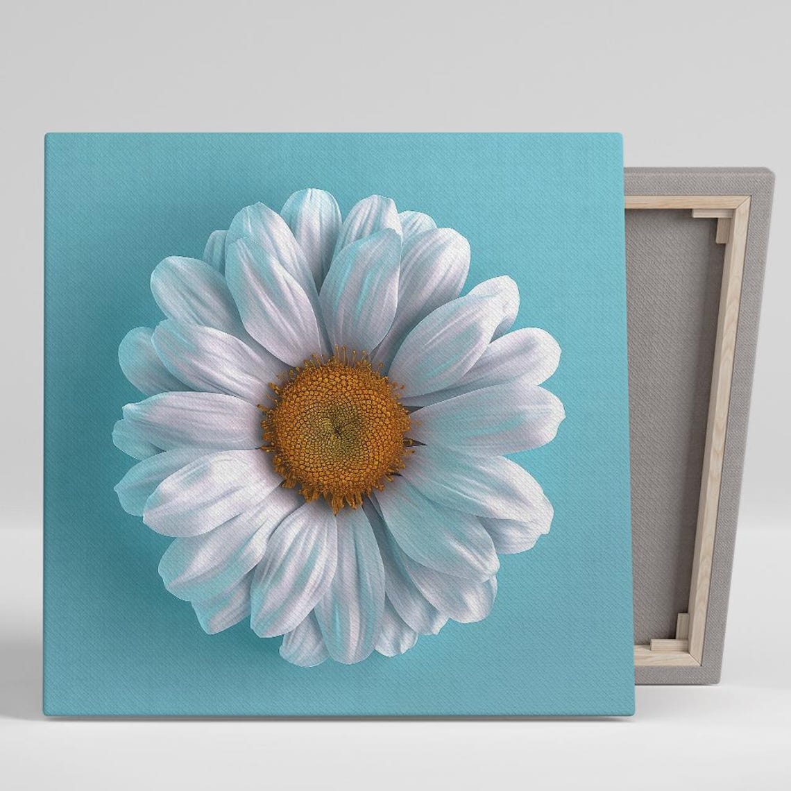 White Daisy Flower Macro Photography Turquoise Background Poster