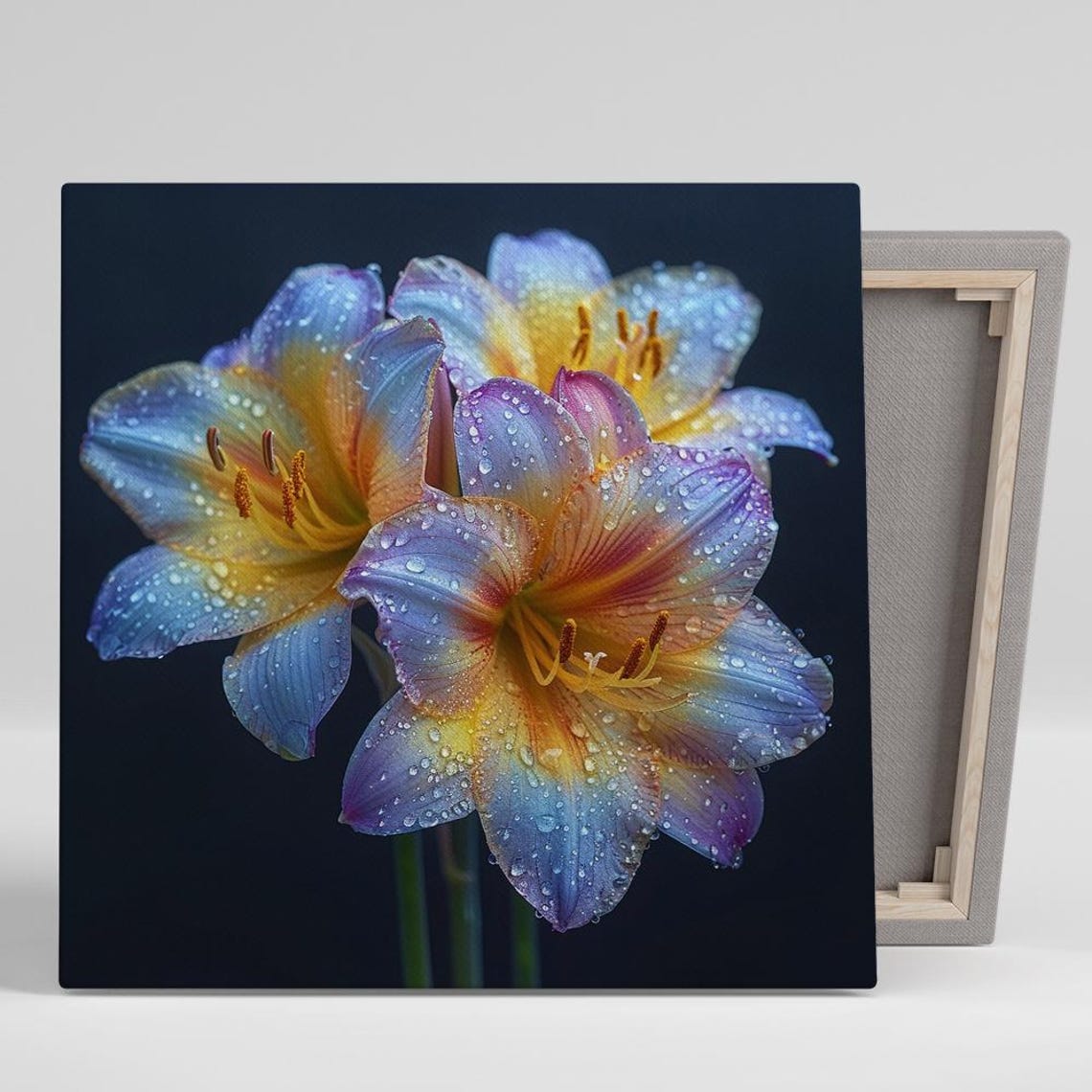 Rainbow Lily Dewdrop Close Up Vibrant Colorful Flower Wall Poster