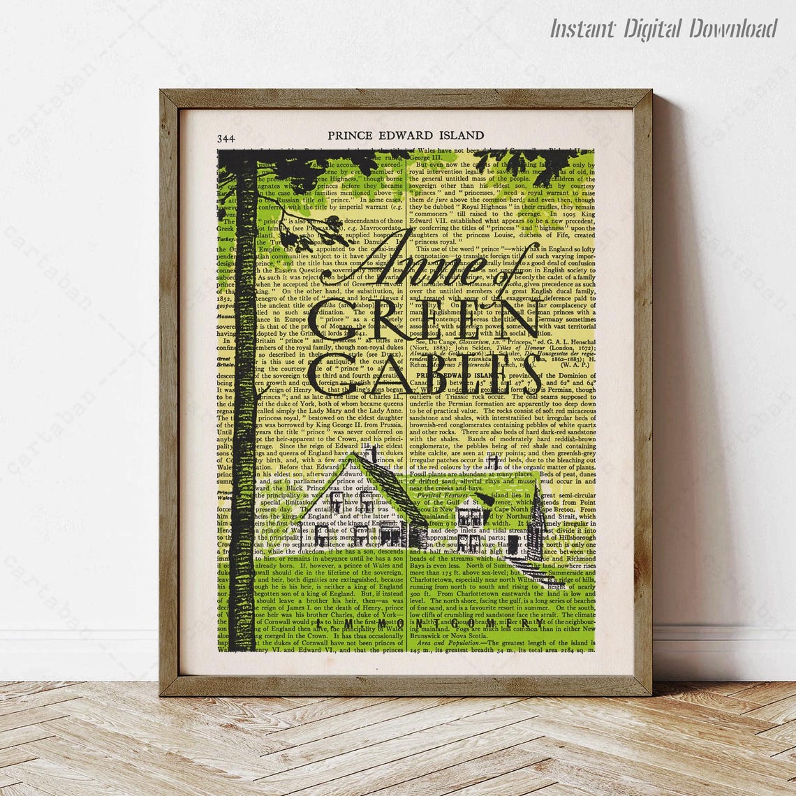 Anne Of Green Gables Prince Edward Island Dictionary Page Art Print