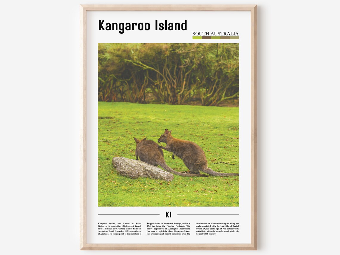 Kangaroo Island Kangaroos Meadow Green Bush Wildlife Scene Poster