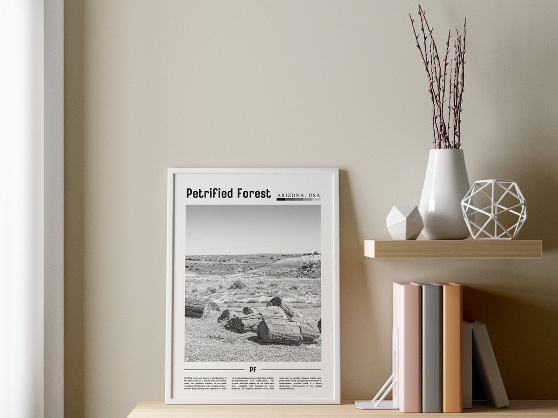 Petrified Forest - Minimal Travel Poster - Image 3
