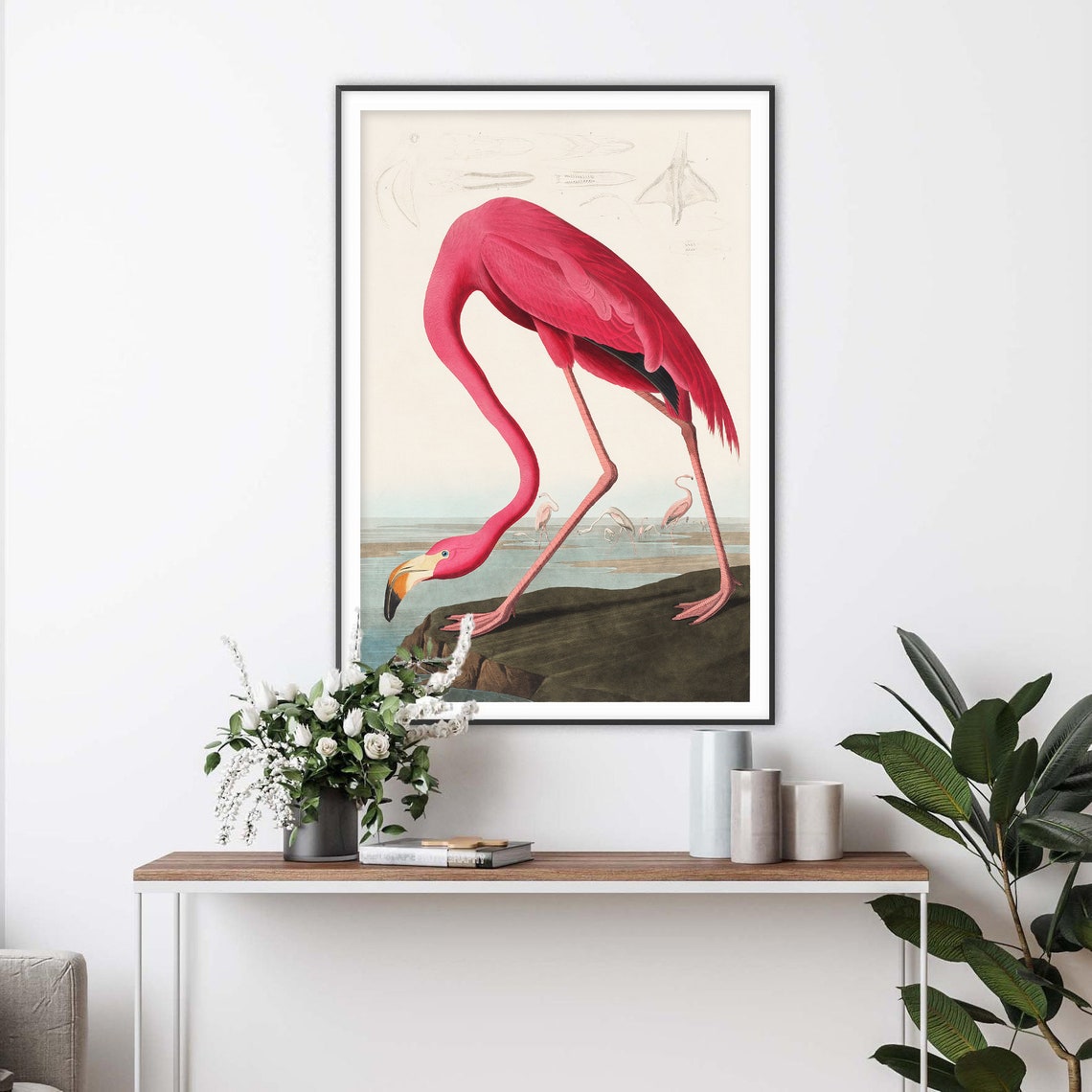 John James Audubon Pink Flamingo Vintage Bird Illustration Poster - Image 2