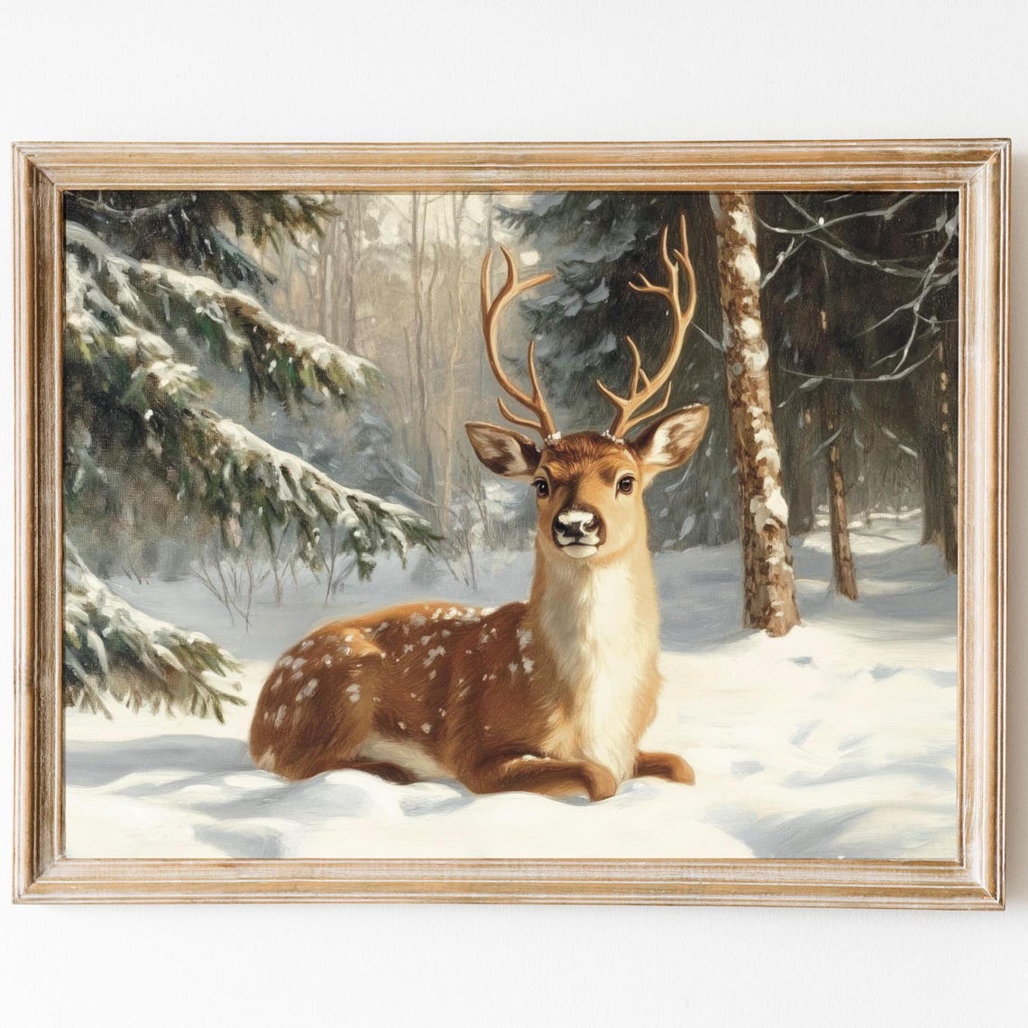 Young Stag Resting In Snowy Winter Forest Wildlife Christmas Poster
