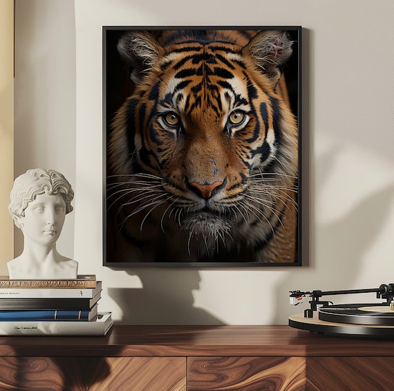 Tiger Face Close Up Staring Straight Out From the Dark Poster