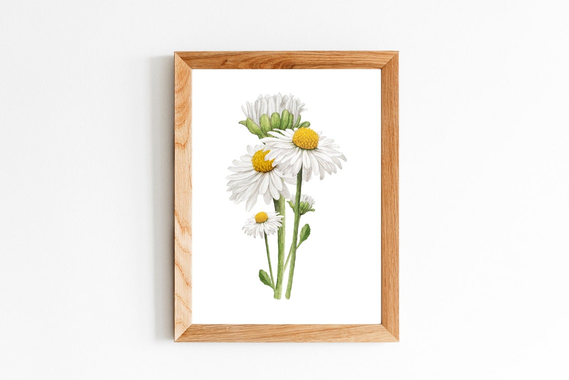 White Daisy Watercolor Botanical Flower Art Print for Girls Room - Image 2