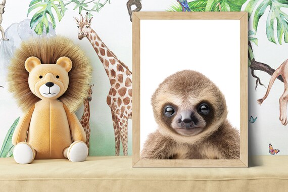 Baby Sloth Portrait with Big Eyes in Soft Color Nursery Poster