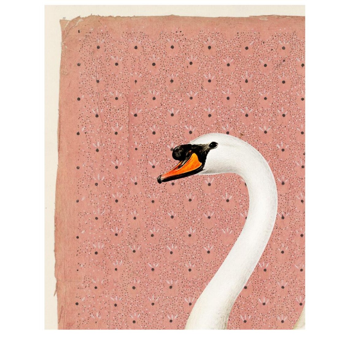 Vintage Swan Peach And Off White Art Print - Image 3