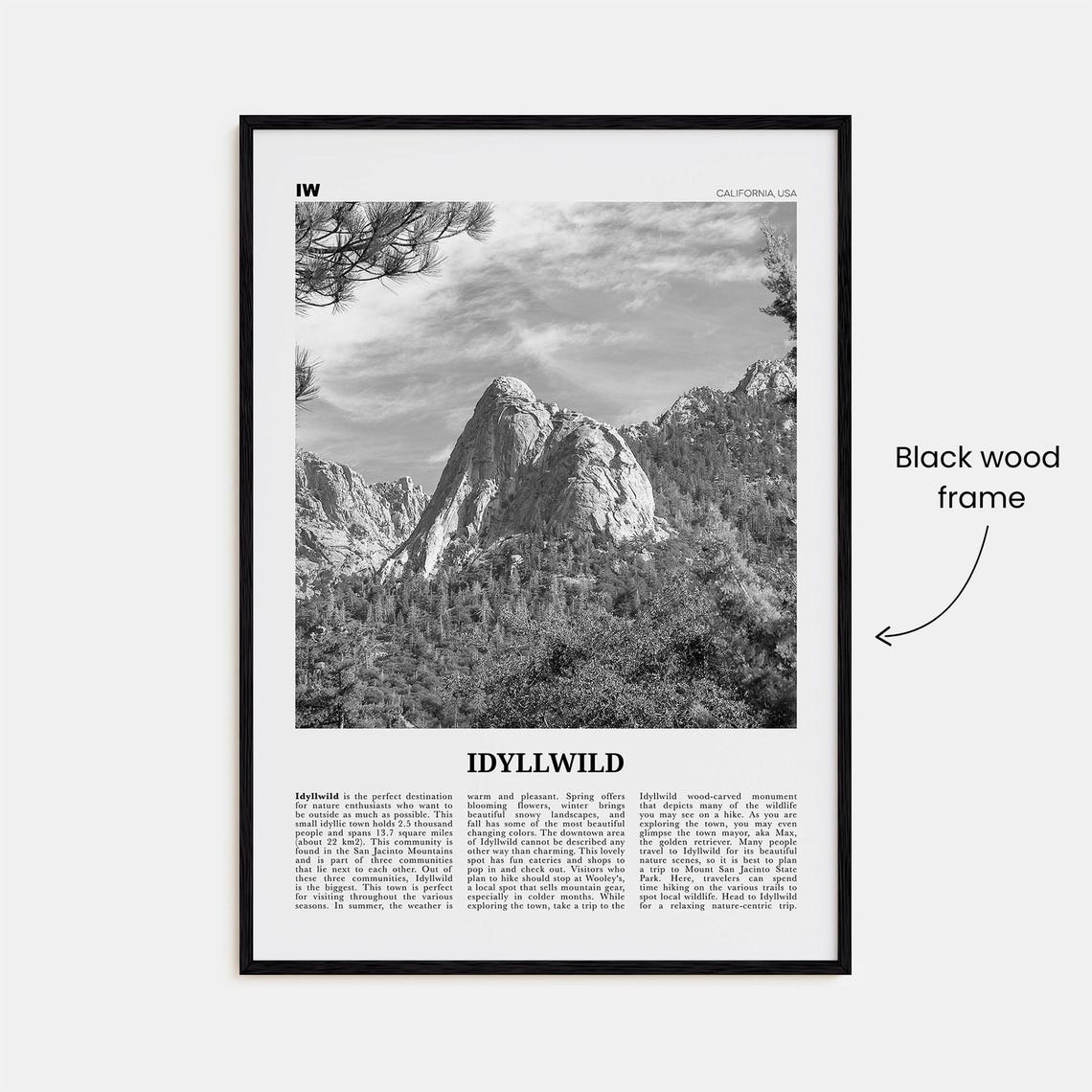 Idyllwild Black And White No. 2 Travel Poster - Image 3