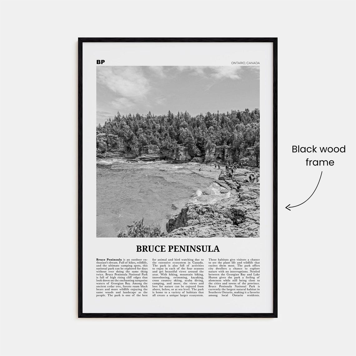 Bruce Peninsula Black And White Travel Poster, Ontario - Image 3