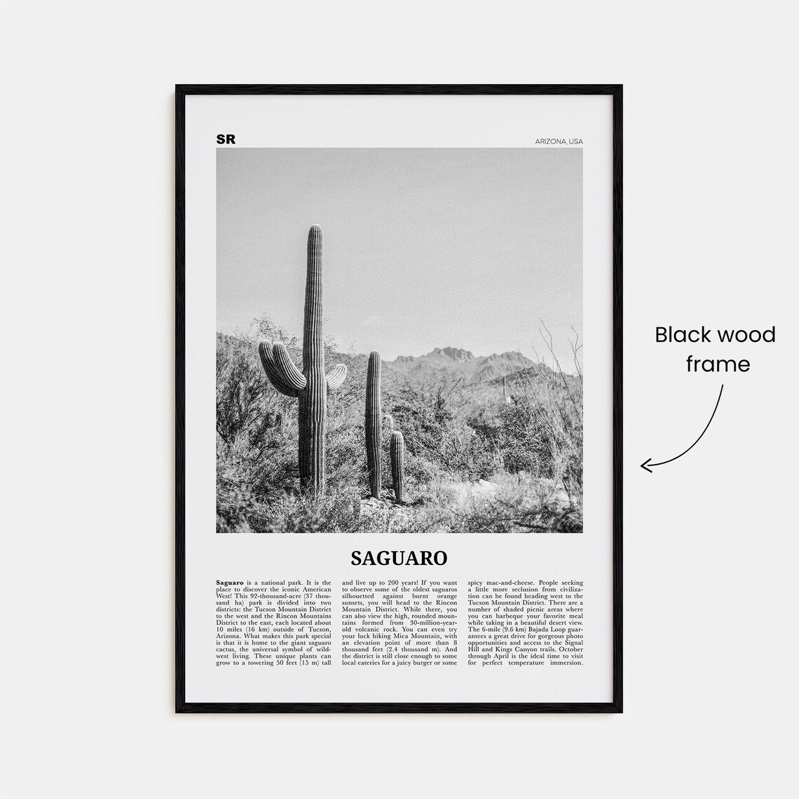 Saguaro National Park Black And White Travel Poster - Image 3