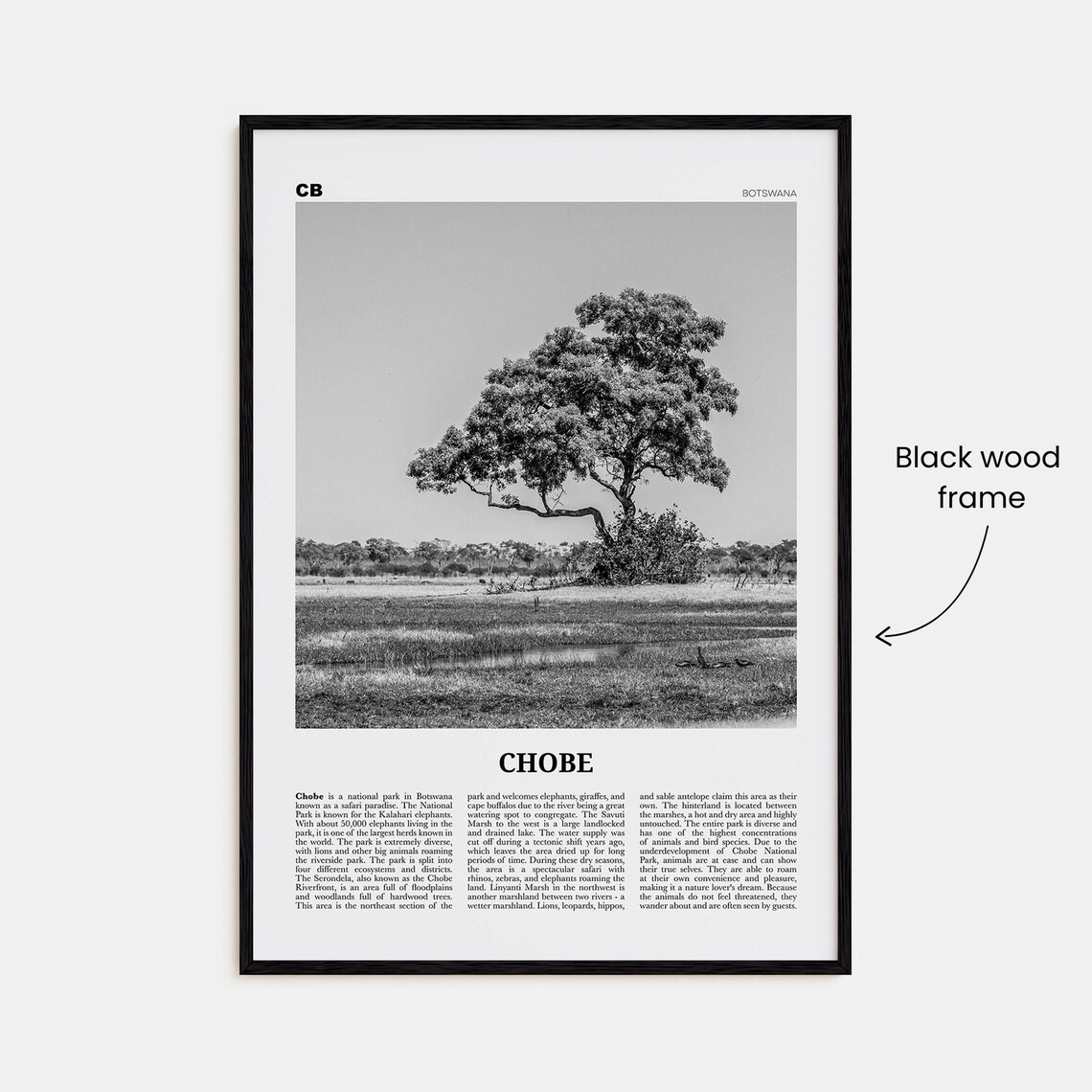 Chobe National Park, Botswana Travel Poster - Image 3