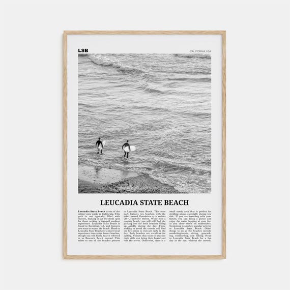 Leucadia State Beach Black and White Travel Poster