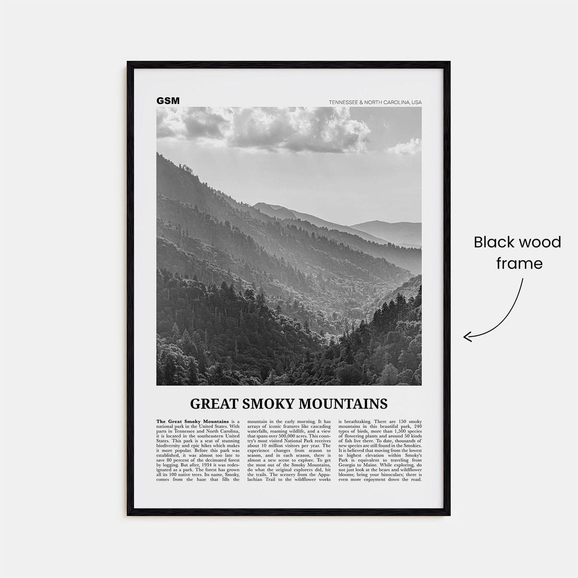 Great Smoky Mountains National Park Black-White Travel Poster - Image 3