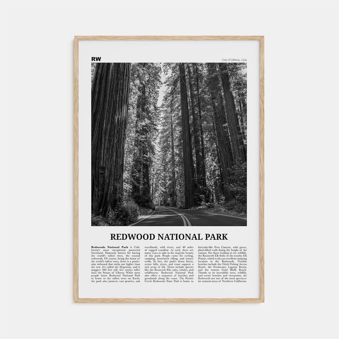 Redwood National Park Black and White Travel Poster