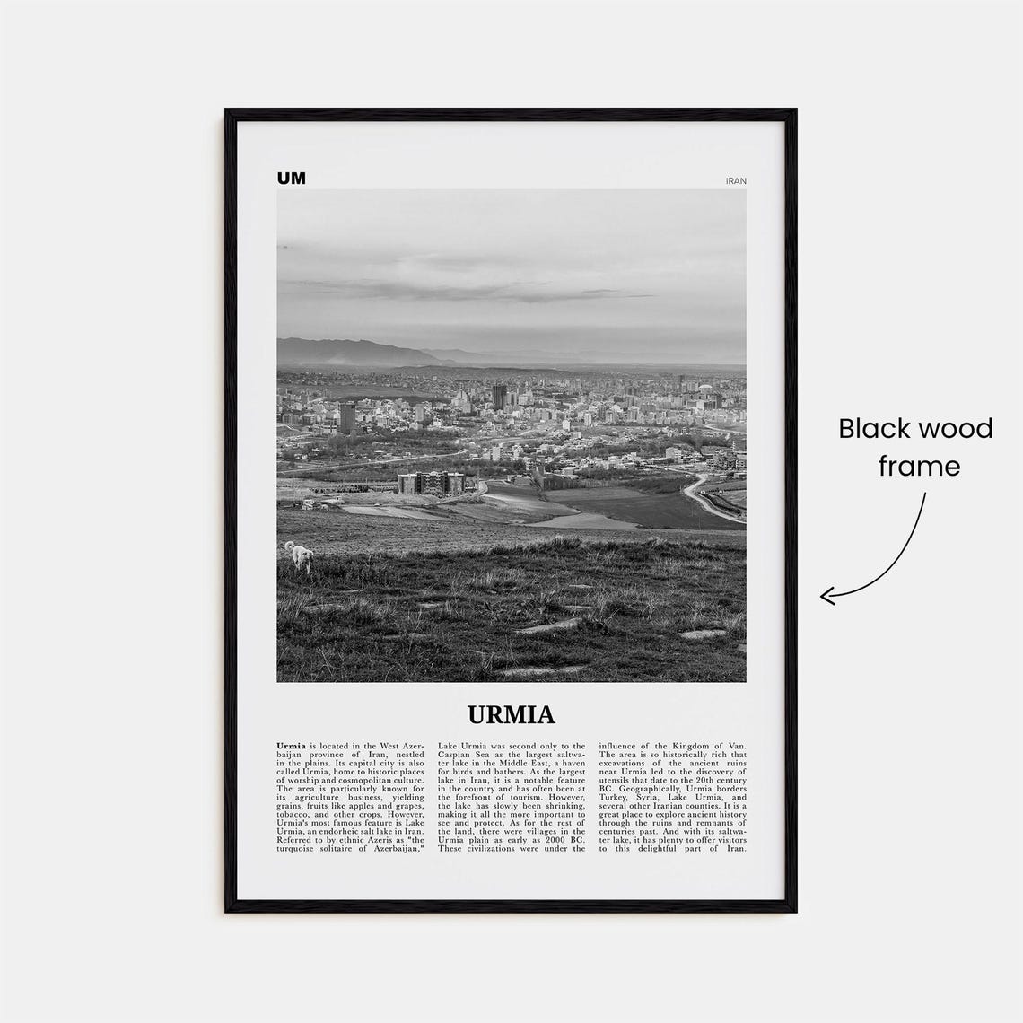 Urmia County Print Black And White Urmia Region Wall Art Urmia Region Poster Urmia Region Photo Urmia Region Dcor Region Map - Image 3